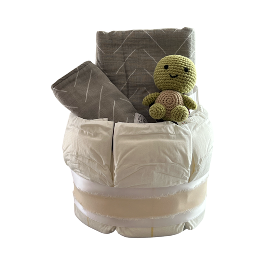 Desert Sage Turtle Diaper Bundle