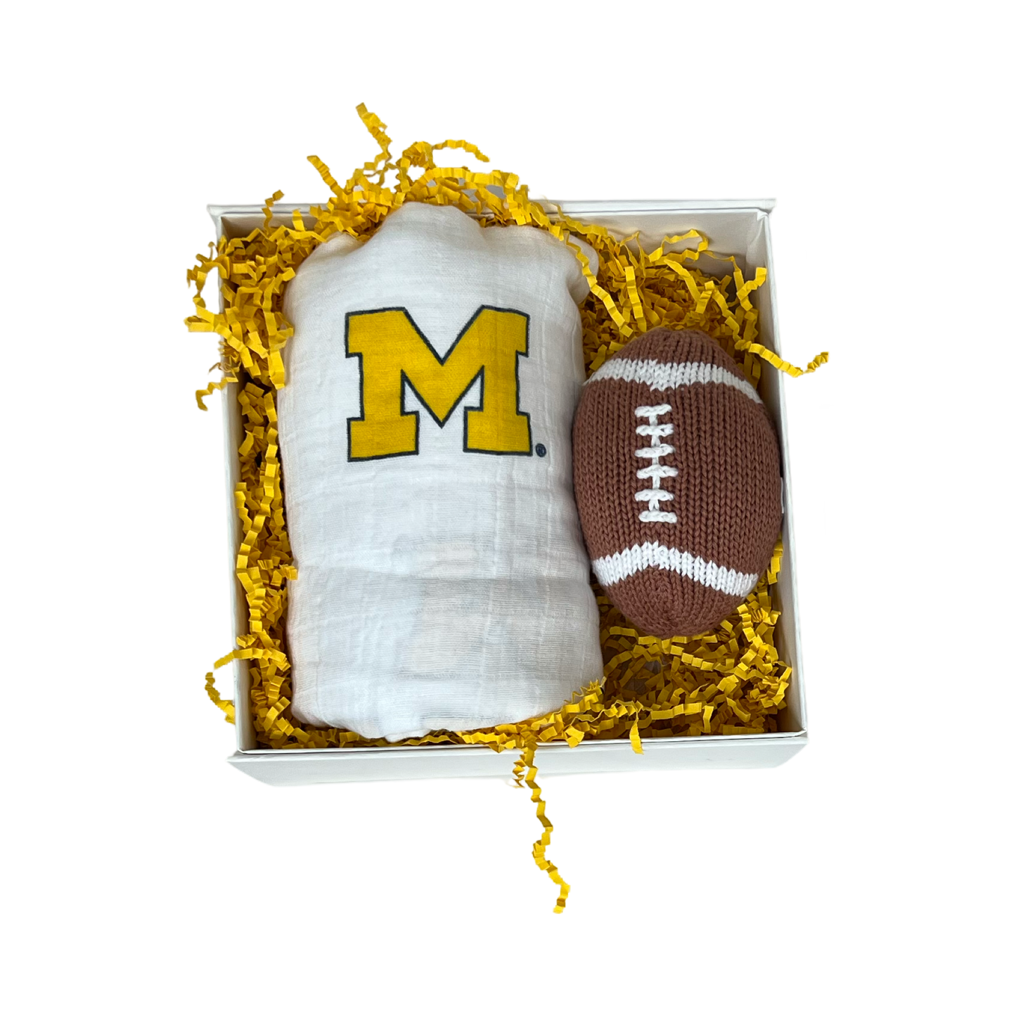 University of Michigan Baby Sport Box